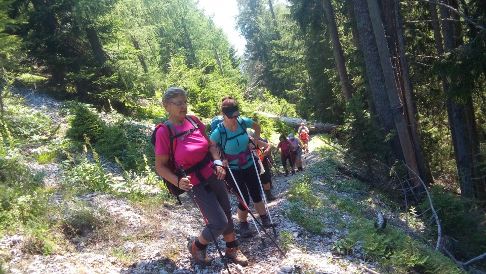 20190720 Ciprnik - foto povečava