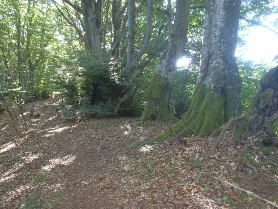 20190723 Hudajužna,Porezen,Petrovo in Podbrdo - foto povečava