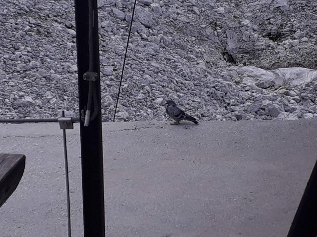 20190725 Triglav,Vrata,Luknja,Dol - foto