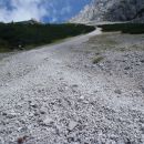 Pogled nazaj na melišče.