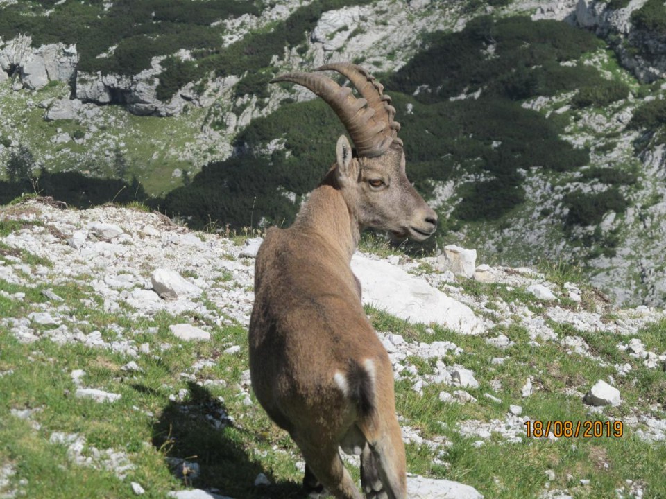 20190819 Triglav - foto povečava