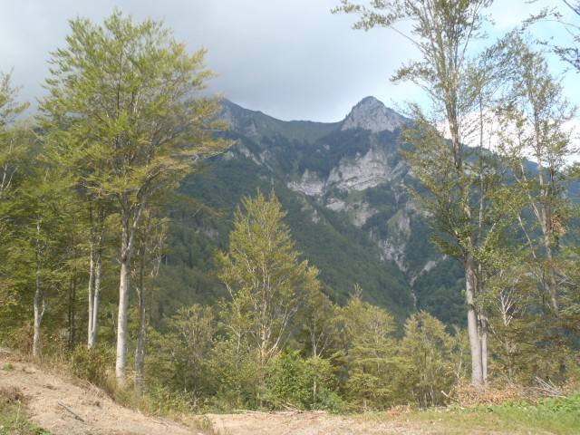 20190819 Podbrdo-Črna prst skozi Trtnik - foto