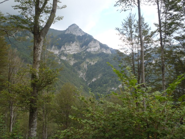 20190819 Podbrdo-Črna prst skozi Trtnik - foto