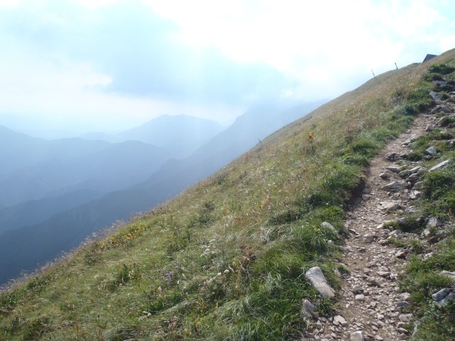 20190819 Podbrdo-Črna prst skozi Trtnik - foto