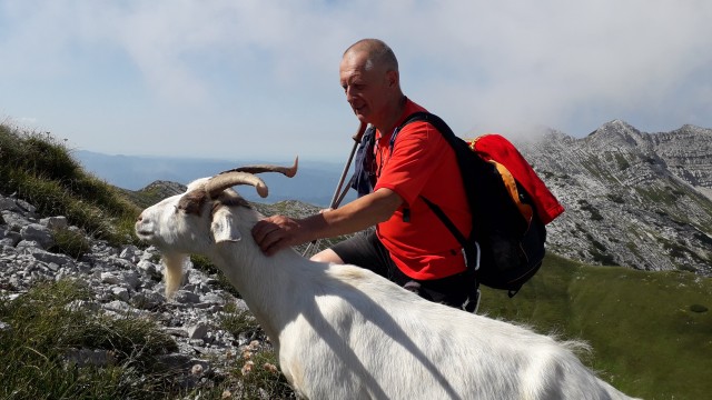 Kako mi paše.