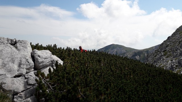 20190820 Čez vrhove Črna prst-Pl.Razor - foto