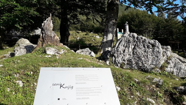 20190820 Čez vrhove Črna prst-Pl.Razor - foto