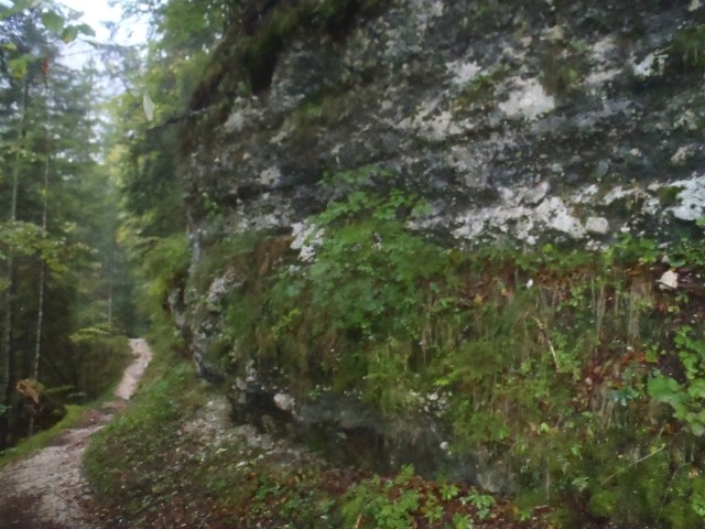 20190908 Vrata - Tamar - foto