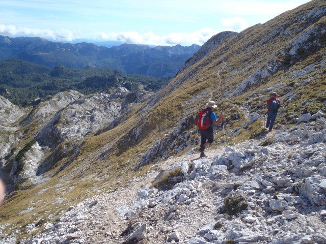 20190926 Sedmera.V.Zelnarica.v in m.Tičarica - foto