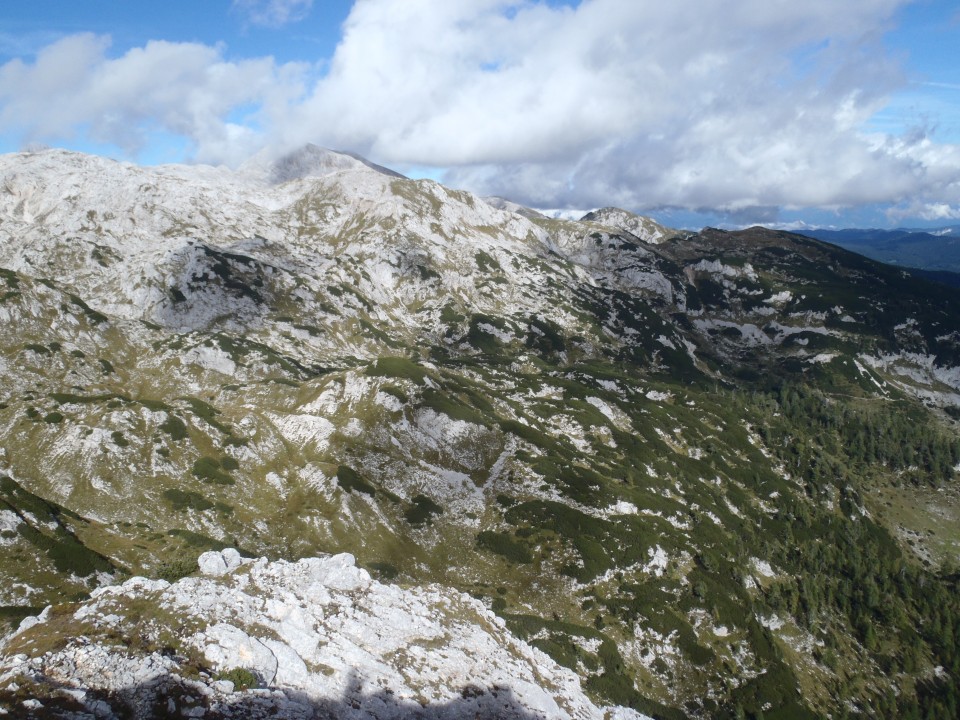 20190926 Sedmera.V.Zelnarica.v in m.Tičarica - foto povečava