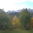 Vogel s sosedi.