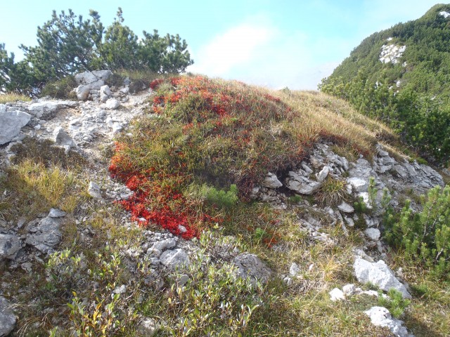 20191005 Savica-Komna-Peski-Krn-Krn jezero - foto