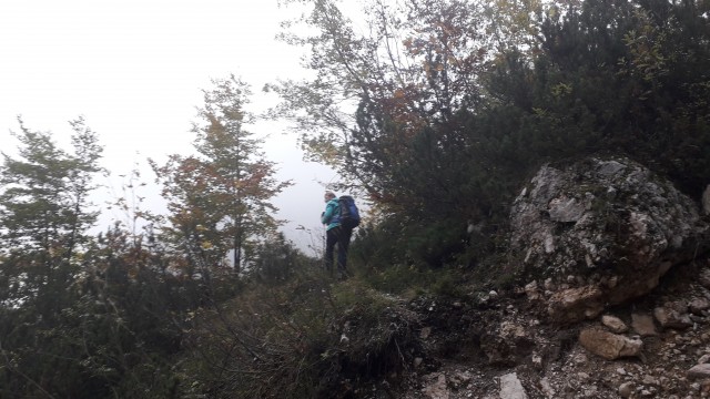 20191008 Debela peč-po lovski iz Krme - foto