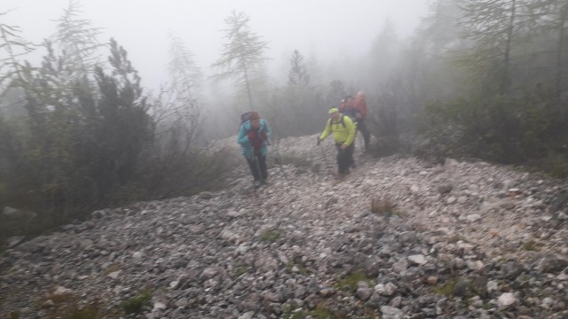 20191008 Debela peč-po lovski iz Krme - foto
