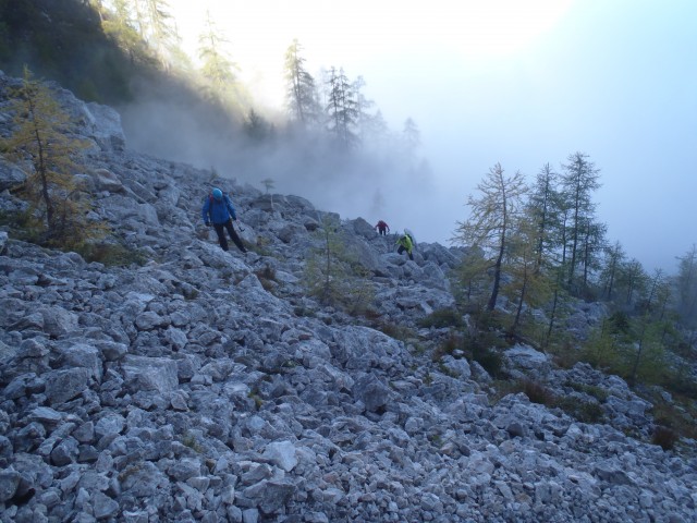 20191008 Debela peč-po lovski iz Krme - foto