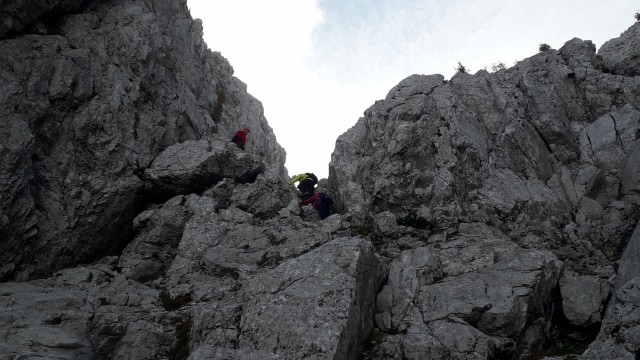 20191008 Debela peč-po lovski iz Krme - foto