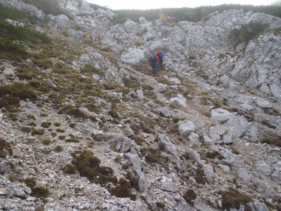 20191008 Debela peč-po lovski iz Krme - foto povečava