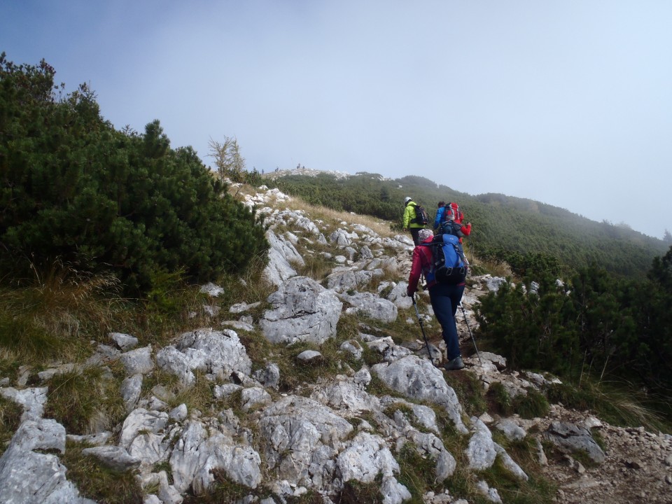 20191008 Debela peč-po lovski iz Krme - foto povečava