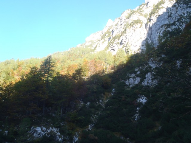 20191008 Debela peč-po lovski iz Krme - foto