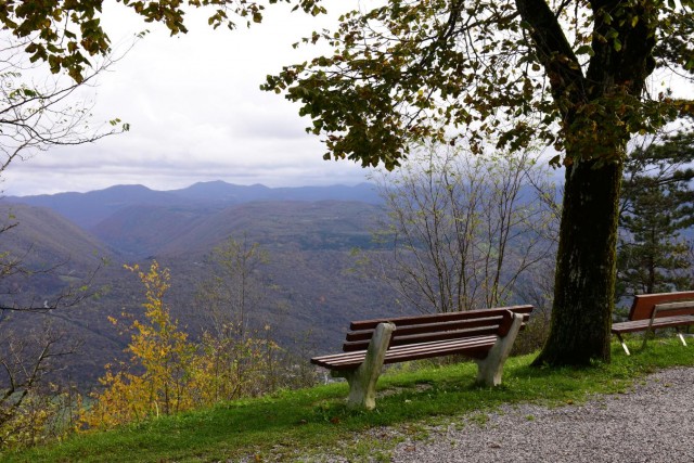20191116 Martinov pohod-Primorska - foto