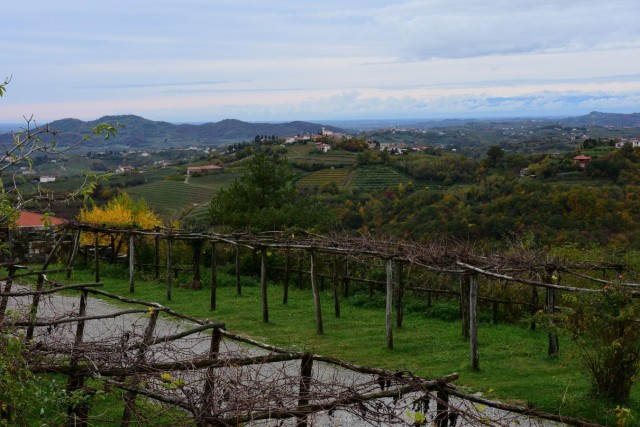 20191116 Martinov pohod-Primorska - foto