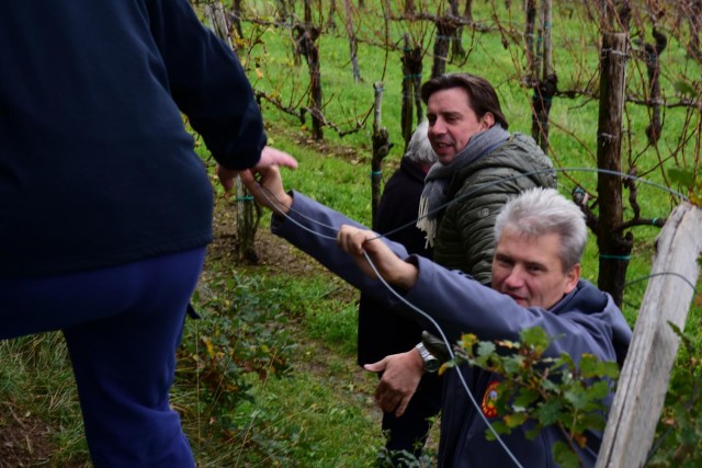 20191116 Martinov pohod-Primorska - foto