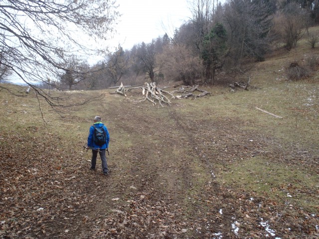 20200123 Kopitnik,Hrastnik-Gore-K-Stražnik - foto