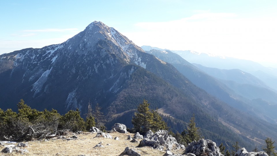 20200222 Zavetišče v gozdu-Tolsti vrh-Kriška  - foto povečava