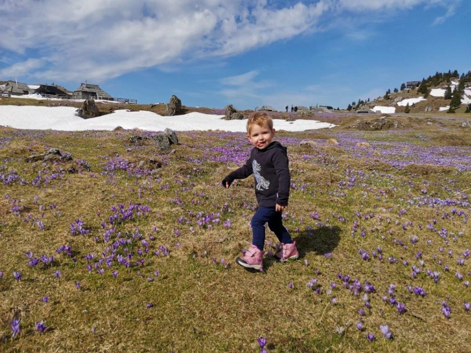 20210425 Velika planina - foto povečava