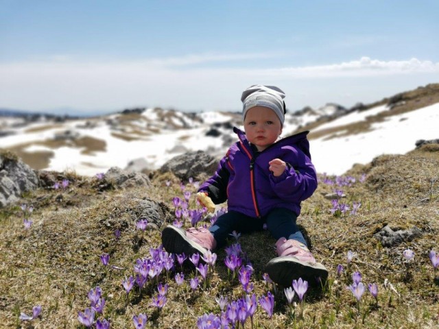 20210425 Velika planina - foto