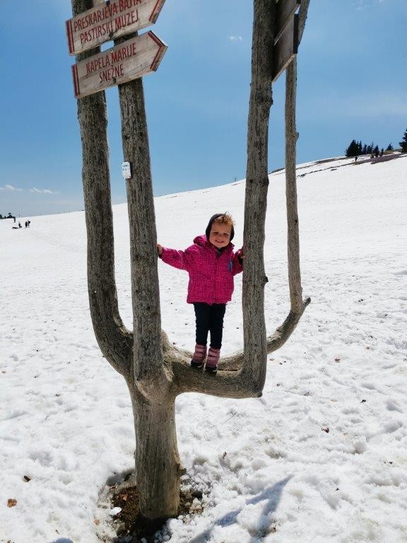 20210425 Velika planina - foto povečava