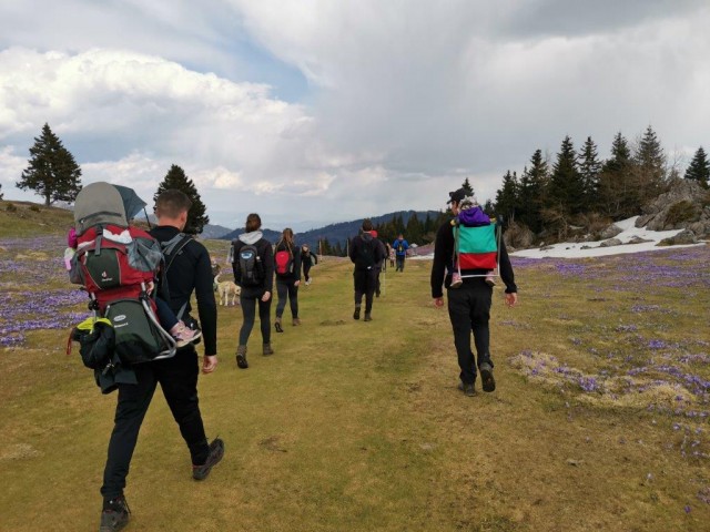 20210425 Velika planina - foto