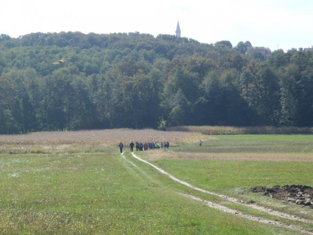 20221006 Selo-vidov brejg z vdc - foto