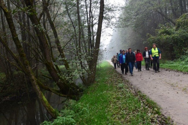 20221008 miškov pohod-foto lado - foto