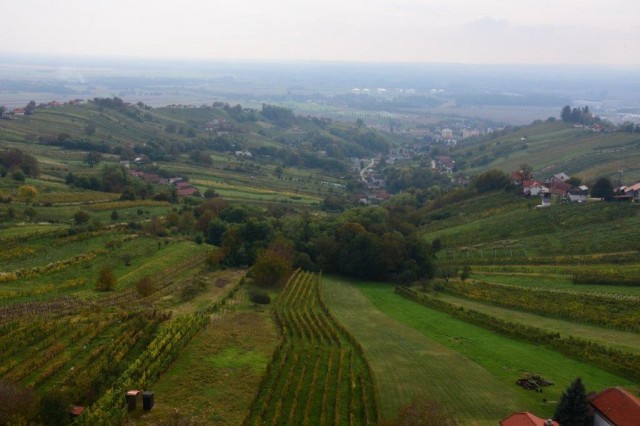 20221008 miškov pohod-foto lado - foto