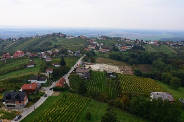 20221008 miškov pohod-foto lado - foto