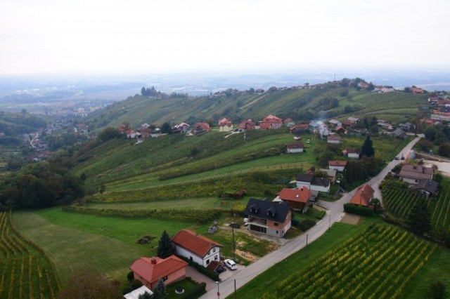 20221008 miškov pohod-foto lado - foto