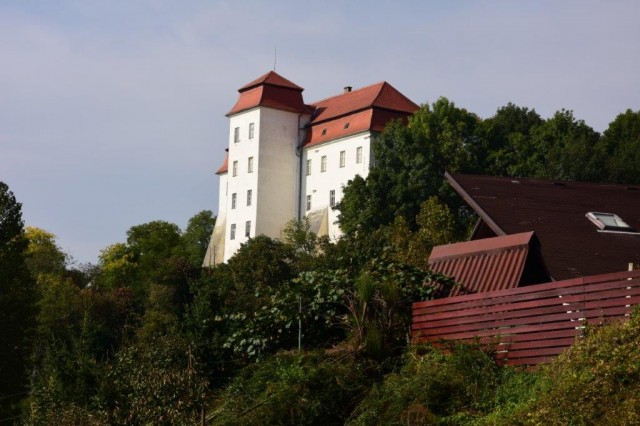 20221008 miškov pohod-foto lado - foto