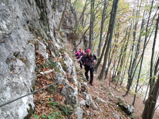 20221015 ptujska gora,boč,osankarica.. - foto