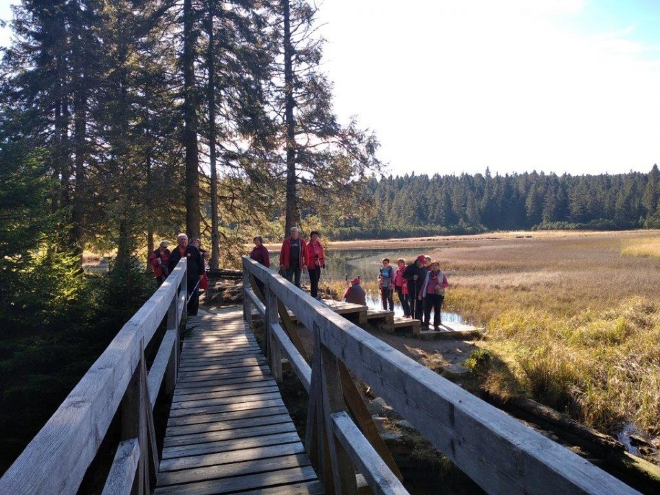 20221015 ptujska gora,boč,osankarica.. - foto povečava