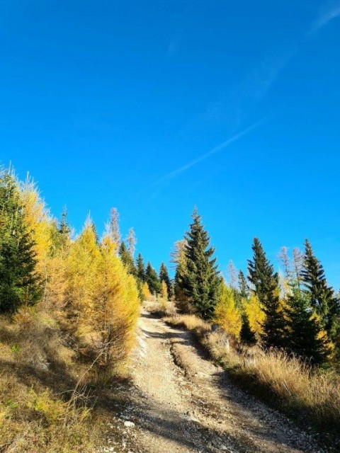 20221031 Peca - foto