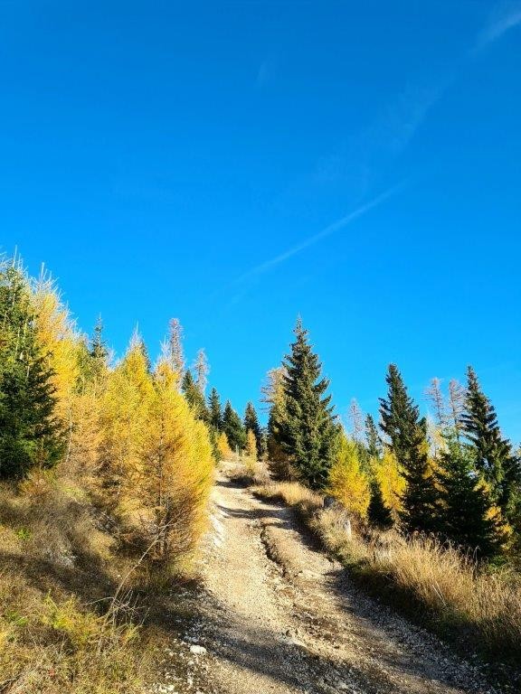 20221031 Peca - foto povečava