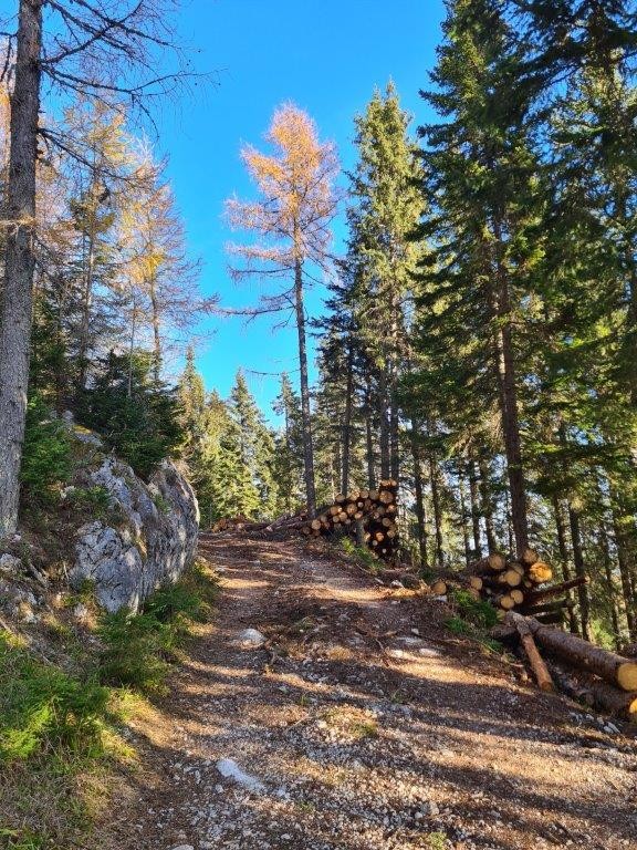 20221031 Peca - foto povečava