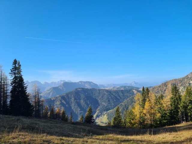 20221031 Peca - foto