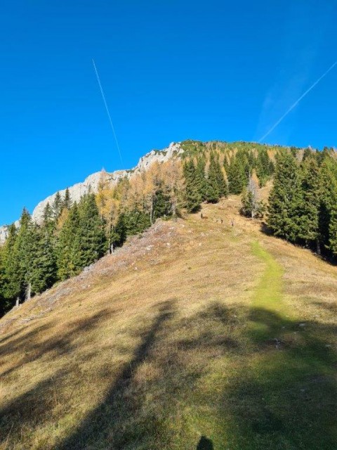 20221031 Peca - foto