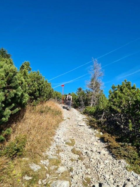 20221031 Peca - foto