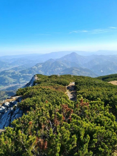 20221031 Peca - foto
