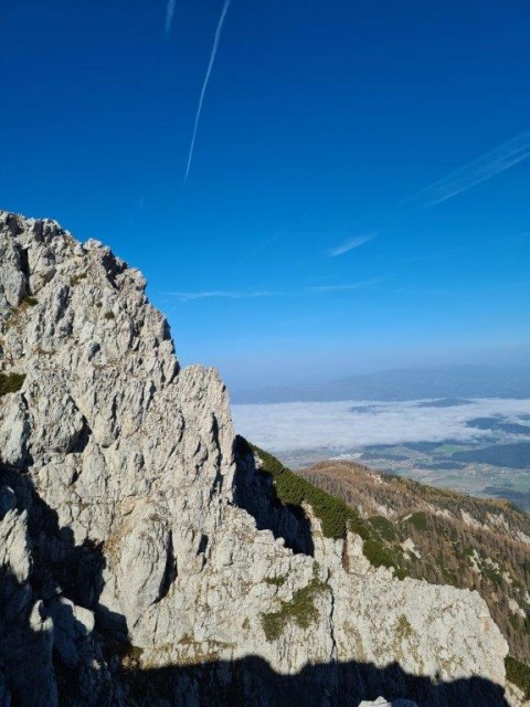 20221031 Peca - foto