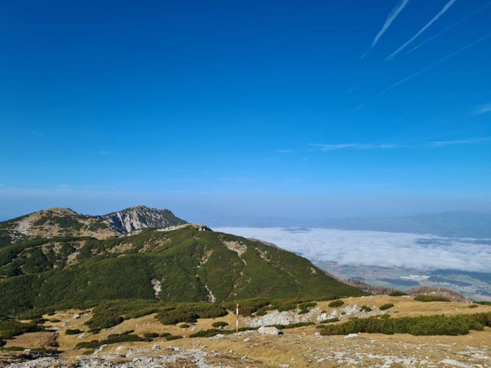 20221031 Peca - foto povečava