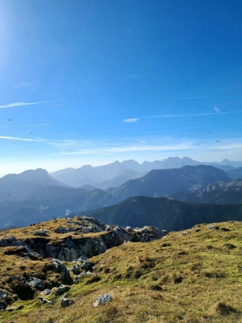 20221031 Peca - foto